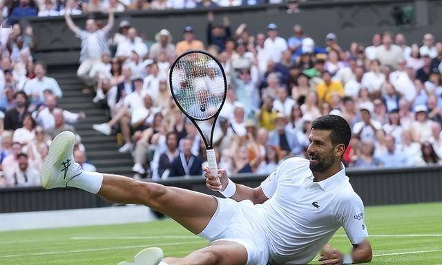 美网横扫温网，德约科维奇状态火热