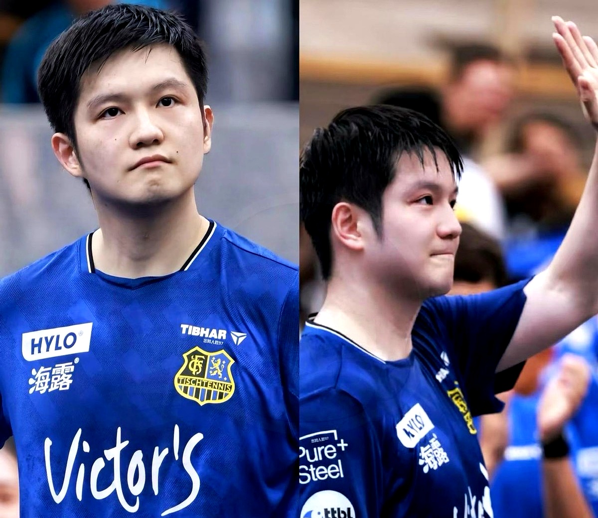 日本队碾压韩国队，樊振东扛起全队