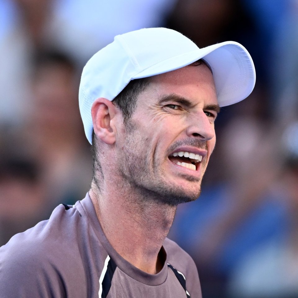 澳网逆转年终总决赛，穆雷状态火热