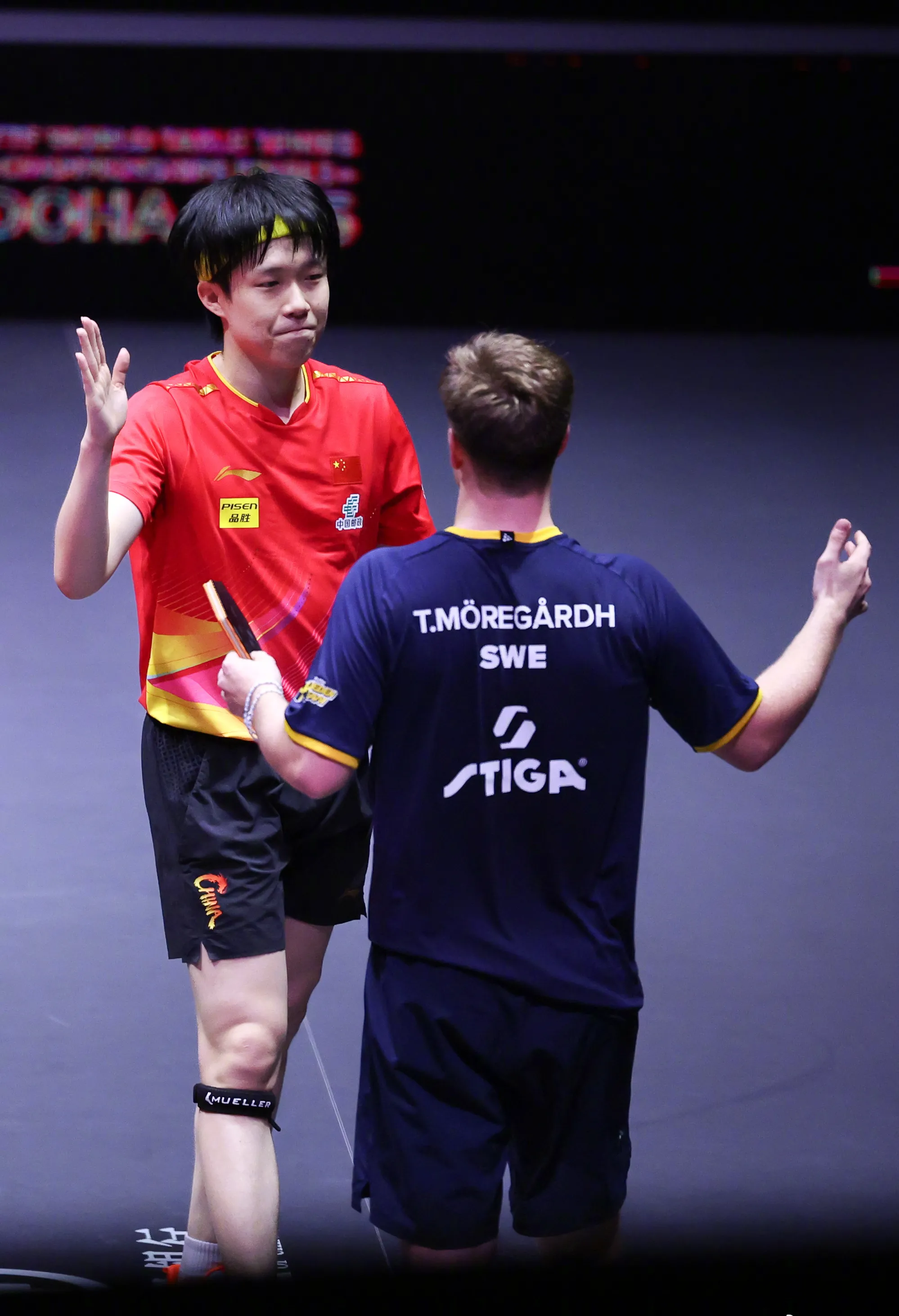 奥地利队完胜波兰队，王皓惊艳四座