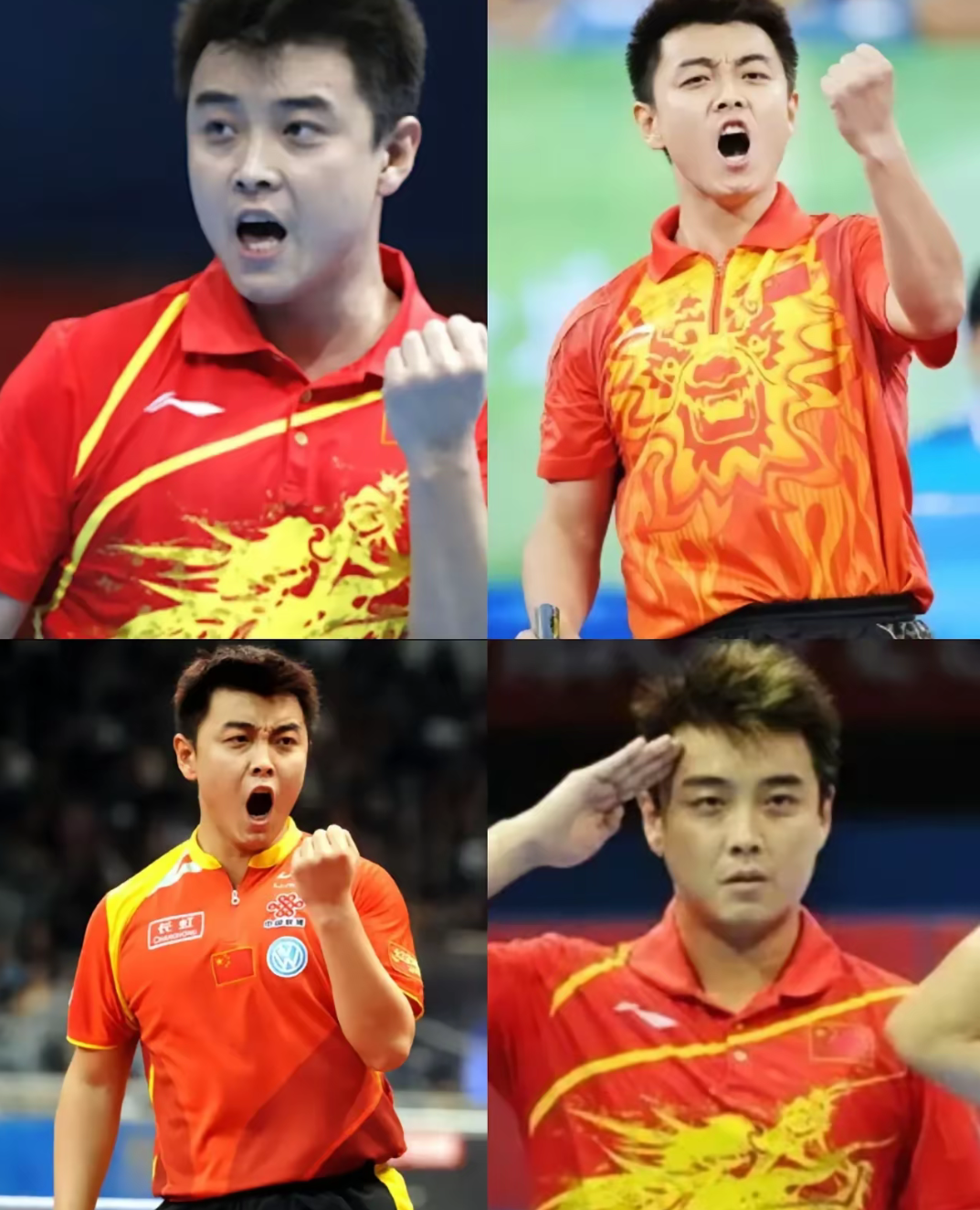 奥地利队完胜波兰队，王皓惊艳四座